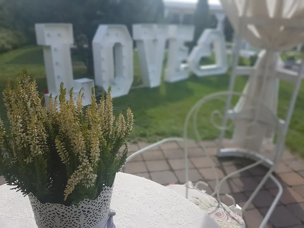 Teren zielony wokół dworku